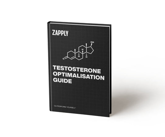 Testosterone Transformation E-Book