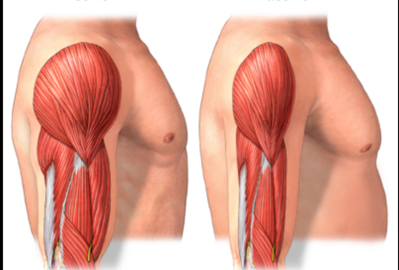 3. You’re Losing Muscle, Even Though You’re Active