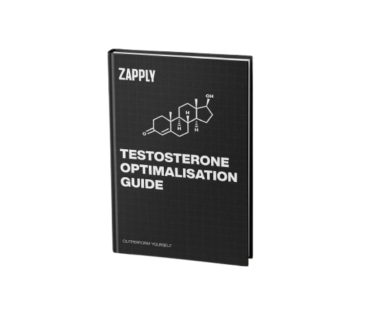 Testosterone Transformation E-Book