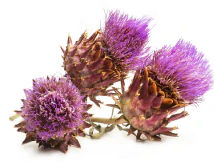 Milk thistle